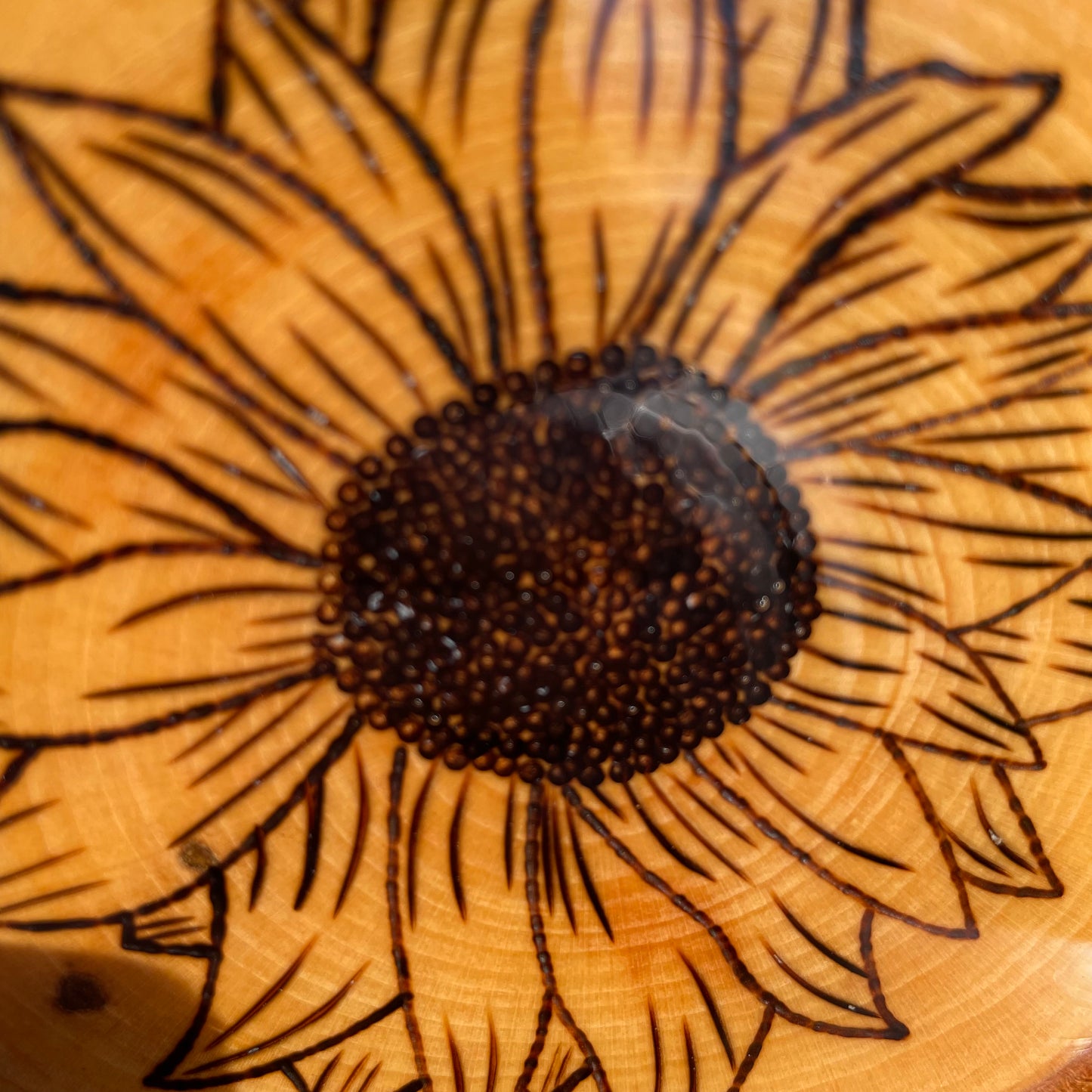 Wood Burned Sunflower Coaster