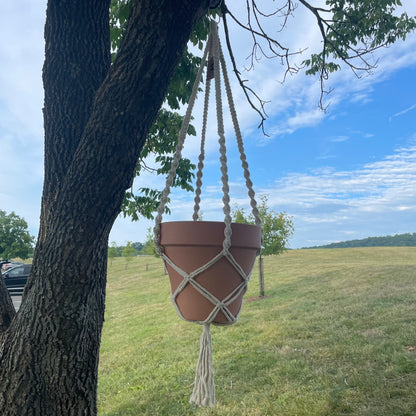 Macrame Plant Hanger -10 inch pot