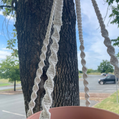 Macrame Plant Hanger -10 inch pot