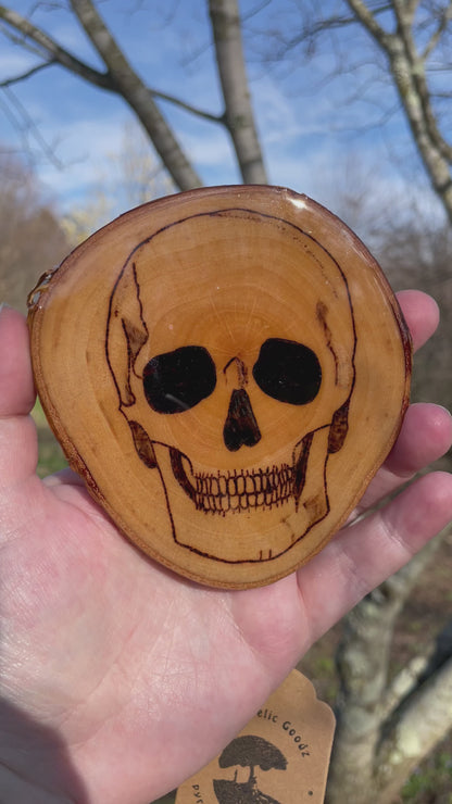 Wood Burned Skull Coaster