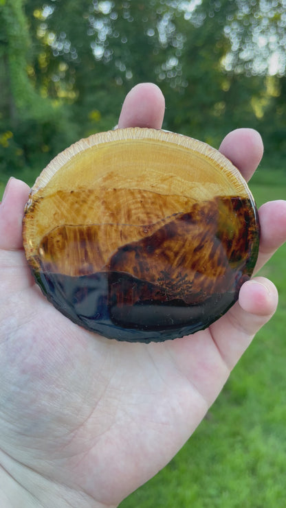 Wood Burned Blue Ridge Mountains Coaster