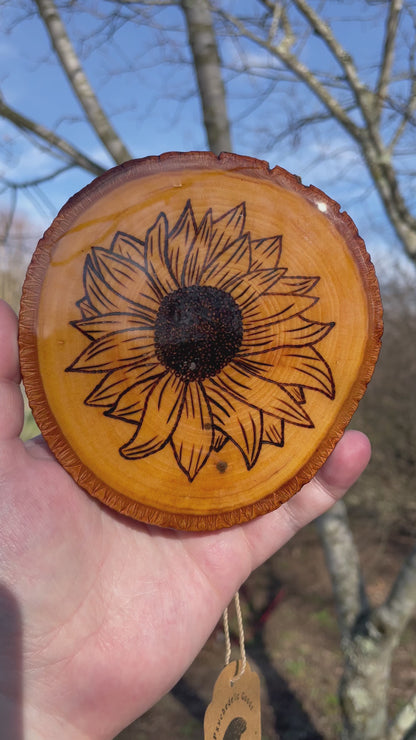 Wood Burned Sunflower Coaster